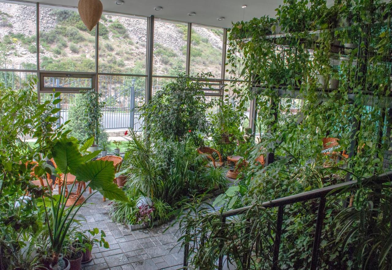 Jannat Resort Kara-Bulak Dış mekan fotoğraf
